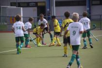 Sommer - Cup U10 (13)